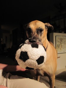 Lotte & Soccer Ball 1